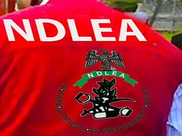 ﻿NDLEA nabs 75-year-old grandpa for dealing in illicit drugs, destroys cannabis farms in Taraba