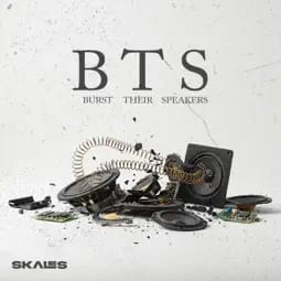 B.T.S by Skales Album Cover