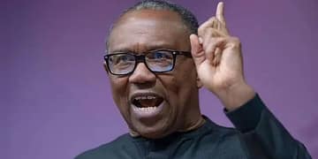 ‘Nigerian passport fee now higher than minimum wage’, Obi condemns latest increase